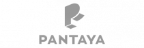 pantaya-Gray-web